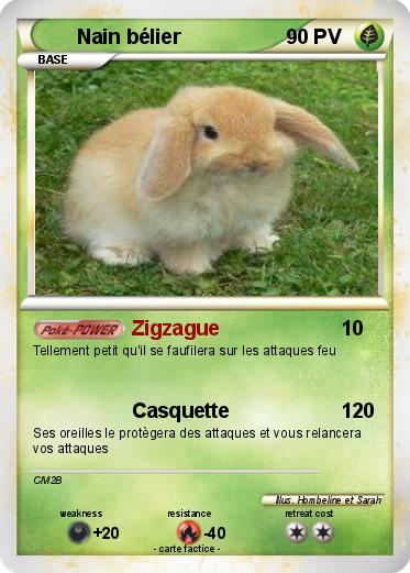Pokemon Nain bélier