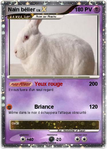Pokemon Nain bélier