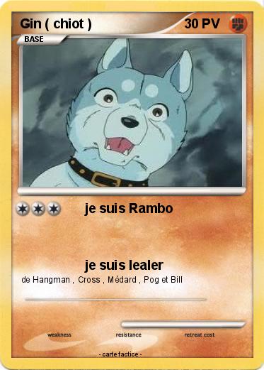Pokemon Gin ( chiot )