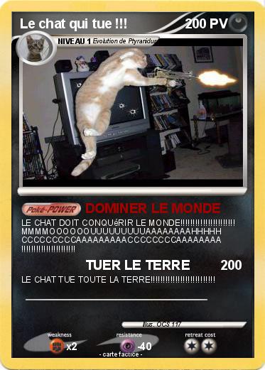 Pokemon Le chat qui tue !!!
