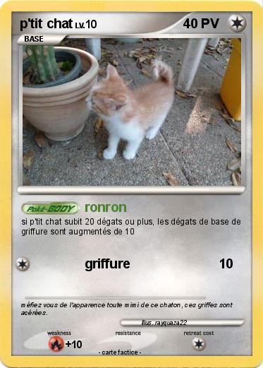 Pokemon p'tit chat