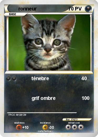 Pokemon ronneur