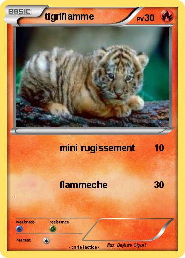Pokemon tigriflamme
