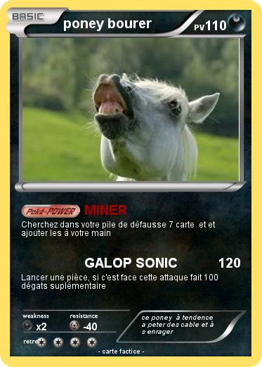 Pokemon poney bourer
