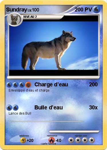 Pokemon Sundray