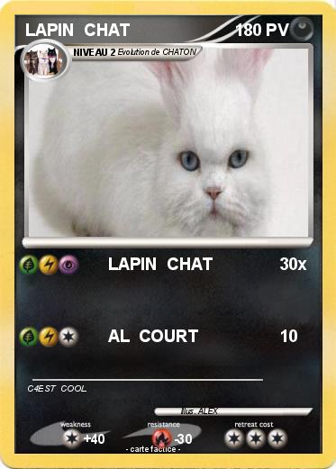Pokemon LAPIN  CHAT
