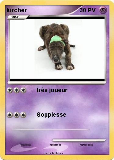 Pokemon lurcher