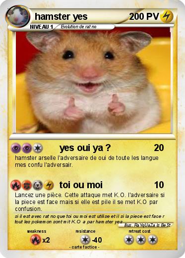 Pokemon hamster yes