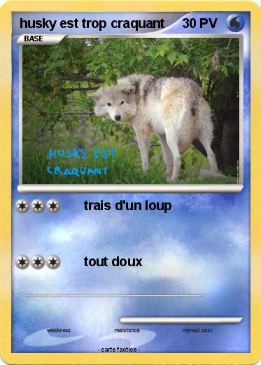 Pokemon husky est trop craquant