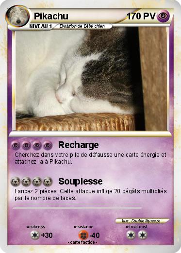 Pokemon Petit chat