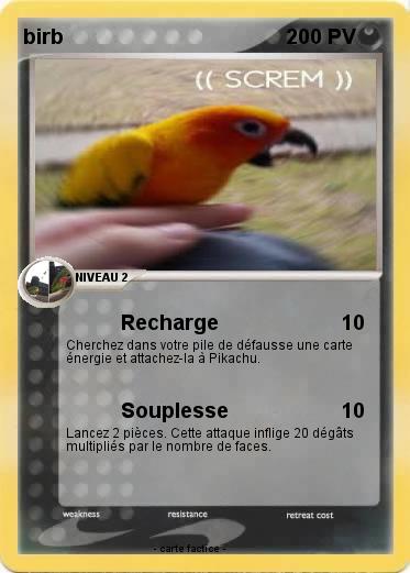 Pokemon birb