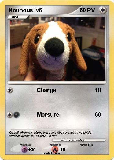 Pokemon Nounous lv6