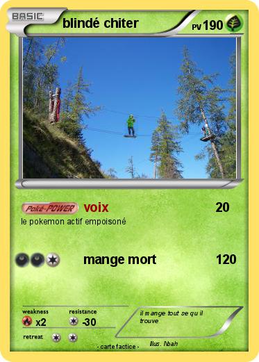 Pokemon blindé chiter