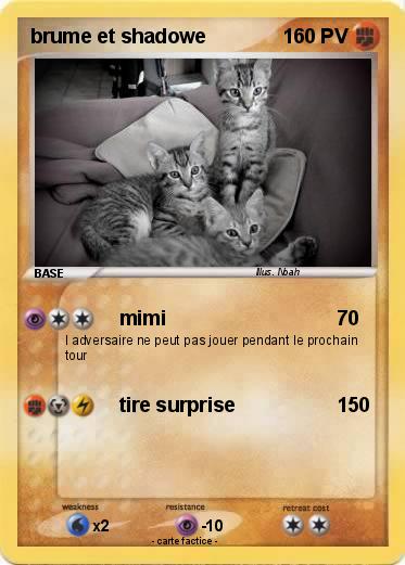 Pokemon brume et shadowe