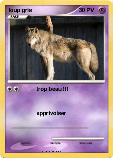 Pokemon loup gris
