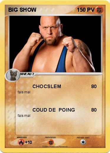 Pokemon BIG SHOW