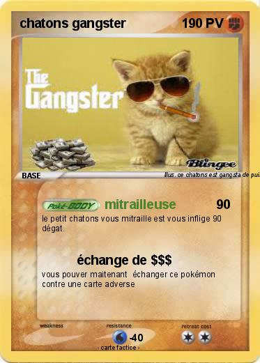 Pokemon chatons gangster