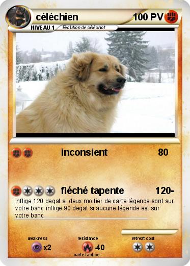 Pokemon céléchien