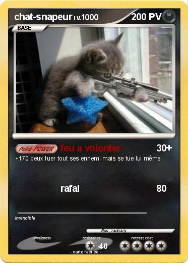 Pokemon chat-snapeur
