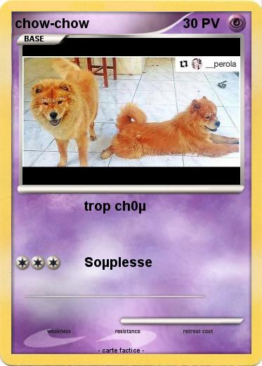 Pokemon chow-chow