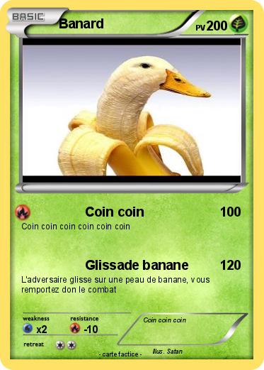 Pokemon Banard