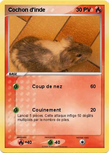 Pokemon Cochon d'inde
