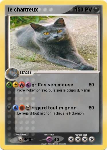 Pokemon le chartreux