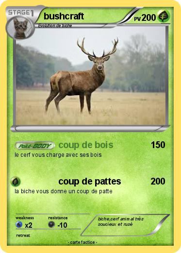 Pokemon bushcraft