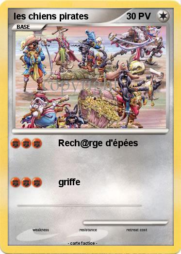 Pokemon les chiens pirates