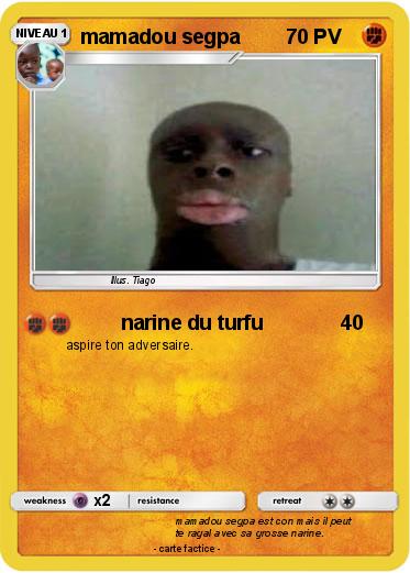 Pokemon mamadou segpa