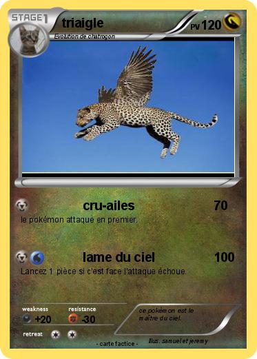 Pokemon triaigle