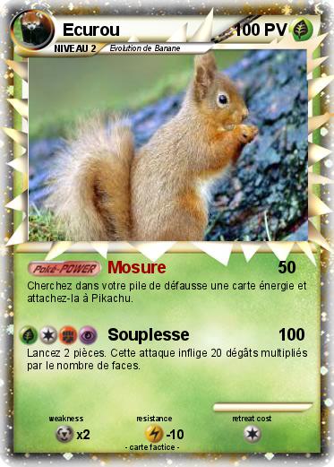 Pokemon Ecurou