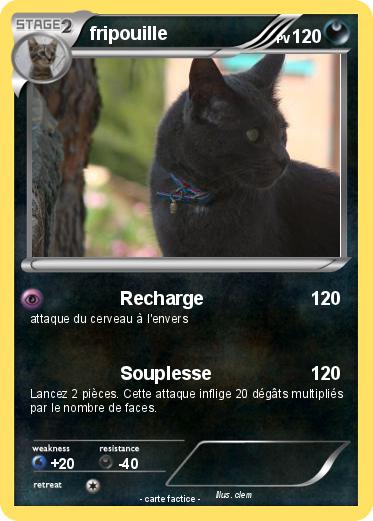 Pokemon fripouille