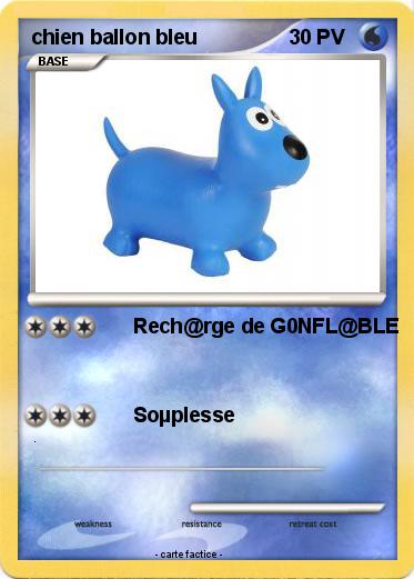 Pokemon chien ballon bleu