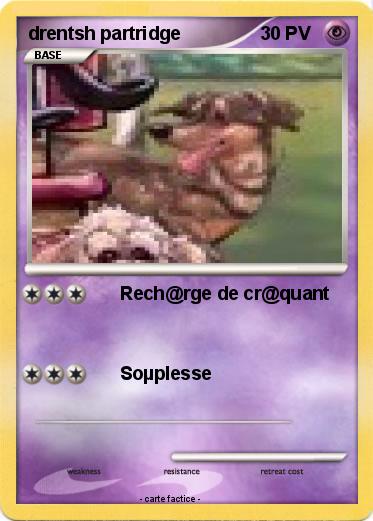 Pokemon drentsh partridge