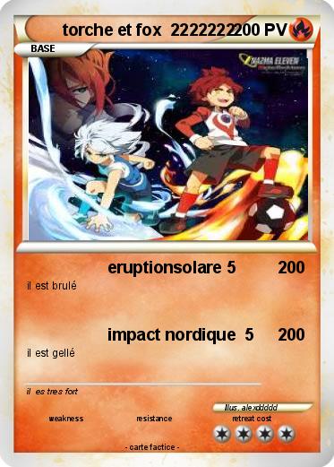 Pokemon torche et fox  2222222