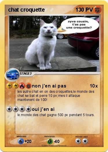 Pokemon chat croquette