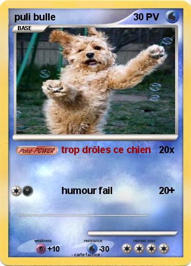 Pokemon puli bulle