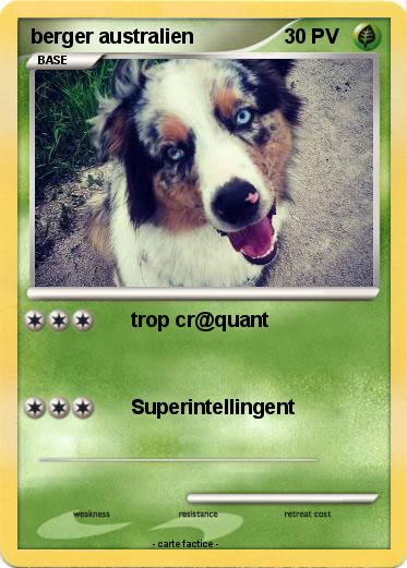 Pokemon berger australien