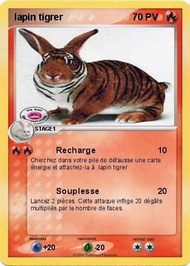 Pokemon lapin tigrer