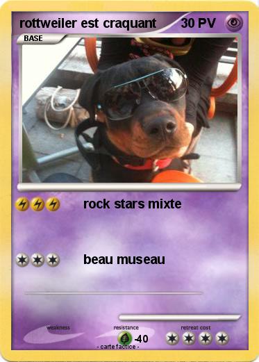 Pokemon rottweiler est craquant
