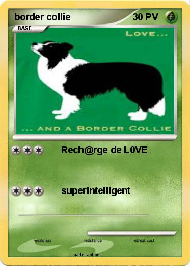 Pokemon border collie