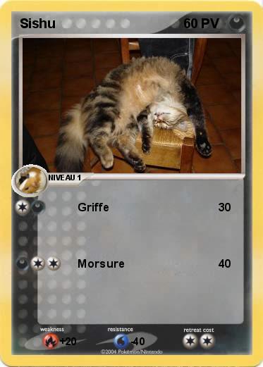 Pokemon Sishu