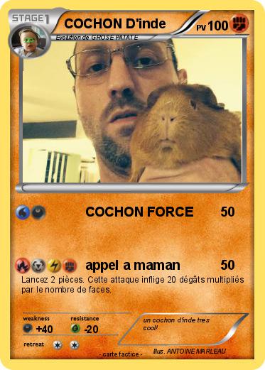 Pokemon COCHON D'inde