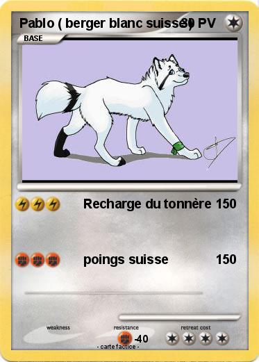 Pokemon Pablo ( berger blanc suisse )