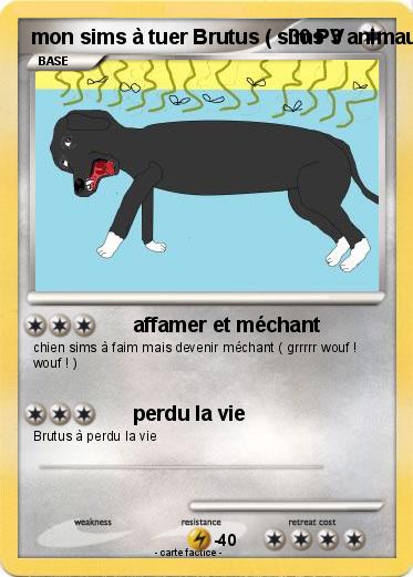 Pokemon mon sims à tuer Brutus ( sims 3 animaux & cie 3DS )