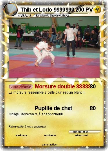 Pokemon Thib et Lodo 9999999