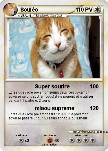 Pokemon Souléo