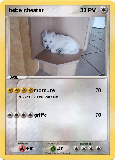 Pokemon bebe chester