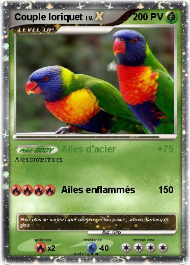 Pokemon Couple loriquet